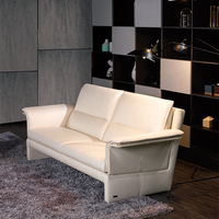 OEM ODM ARREDAMENTI Hochwertiges Luxus-Ledersofa-Set Modernes Design 2-Sitzer Villa Wohnzimmer Büromöbel 2-Jahres-Garantie
