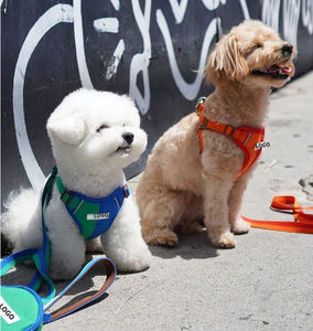 Arnés Reflectante Ajustable para Perro con Correa, Chaleco Colorido con Hebilla Marrón para Paseos al Aire Libre - Product Image 1