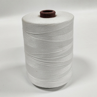 Haute qualité 100% rayonne teint 150g Polyester 250d 150d 120d rouge doré Viscose fil à broder pour la couture et le Crochet