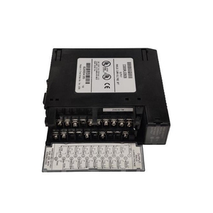 Módulo Analógico IC693ALG391M de Capacidad Real del 100% con Alto Rendimiento y Alta Confiabilidad que Garantiza un Rendimiento Óptimo en Procesos - Product Image 1