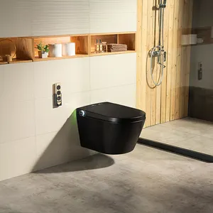 FG888-黑色洁具坐浴盆虹吸智能容器马桶