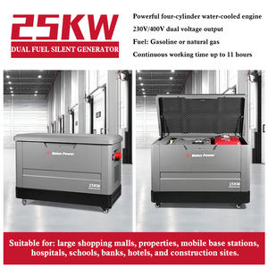 15KW 25KW 20KW 4สูบระบายความร้อนด้วยน้ำเครื่องกำเนิดไฟฟ้าเชื้อเพลิงคู่-เบนซินและ <span class=keywords><strong>lpg</strong></span>/ng ขับเคลื่อนสำหรับการสำรองข้อมูลฉุกเฉินในอุตสาหกรรม - Product Image 5