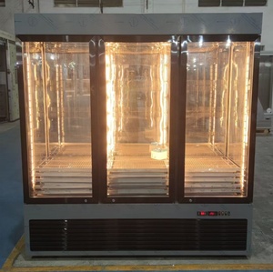 <span class=keywords><strong>Réfrigérateur</strong></span> de maturation à sec pour cuisine de restaurant, congélateur de maturation pour bœuf et steak, chambre de maturation à sec, refroidisseur de viande pour l'affichage - Product Image 5