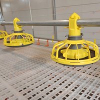 Système d'alimentation automatique pour poulets avec ligne d'eau pour élevage au sol, équipement d'alimentation pour poulets de chair et poules pondeuses