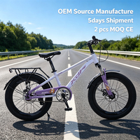 Vélo VTT Enfant 20 Pouces Monovitesse avec Porte-Bagages Arrière, Meilleure Vente 2026, Idéal pour Garçons et Filles, Cyclisme en Extérieur