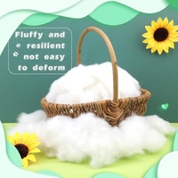 Remplissage en fibre de polyester de qualité supérieure pour jouets en peluche et poupées faites à la main