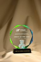 Trophées d'ours gravés lumineux en cristal pour événements d'équipe d'enfants, médailles et plaques durables – Vente directe usine