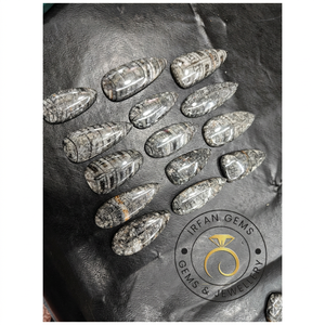 Natural Orthoceras <b>Fossil</b> MIx Shape Cabochon Loose <b>Stone</b> Wholesale Gemstone Natural Black Orthoceras <b>Fossil</b> Wholesale Price - Product Image 4