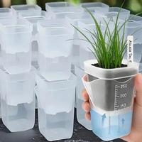 Pot de fleurs transparent auto-arrosant avec trous de drainage, conteneur de propagation de semis, accessoires de jardinage domestique 6,5 cm