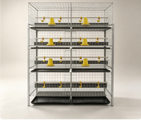 Cage à poulets robuste à 3 niveaux et 2 portes en acier galvanisé pour 60 oiseaux