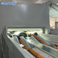 Industriële sorteermachines voor sinaasappels, granaatappels, peren en guave.