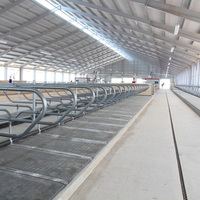 Bâtiment d'élevage en structure acier très demandé, doté d'une construction robuste en acier pour moutons et bovins