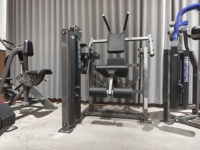Équipement de musculation professionnel MTS à charge par poulie réglable pour abdominaux et entraînement de la force du tronc