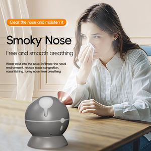 Vaporisateur facial électrique multifonctionnel chaud/froid, hydratant nano, personnalisé OEM/ODM pour usage extérieur et automobile - Product Image 5