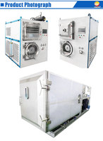 ORME Fruit Freeze Dry Machine Mini Vacuüm Vriesdroger Lyofilisatiemachine Te Koop