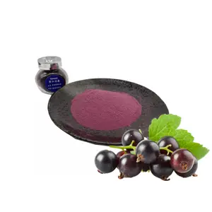 Hot Sale Blackcurrant Juice Powder Black Currant Powder Blackcurrant Fruit Powder