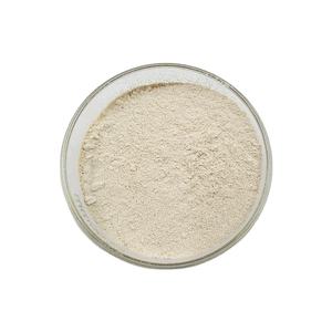 Extrait de graines de Garcinia Cambogia de haute qualité Cambogia Garcinia poudre Cambogia Garcinia extrait - Product Image 2