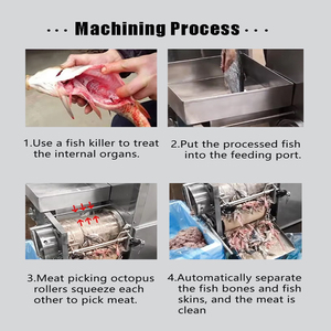 Separatore automatico di carne di osso di pesce/disossamento di pesce macchina/spina di pesce rimozione macchina per l'industriale - Product Image 4