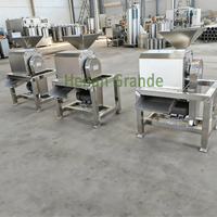 Industriële Fruitpulp Sap Maken Machine Mango Juicer Machine/Groente Fruit Mango Pulper/Automatische Fruit Pulping Machine