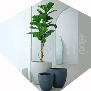 10 "Front Porch Melhores Pots para Violetas Africanas Vasos de plantas acessíveis Vasos de flores cinzentas personalizados sem pires