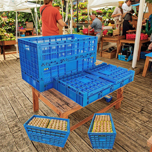 Trang trại ráp Giao thông vận tải lưu trữ có thể gập lại nhựa Trứng Thùng lưới hộp PP chất liệu Gà nhà CONTAINER - Product Image 5