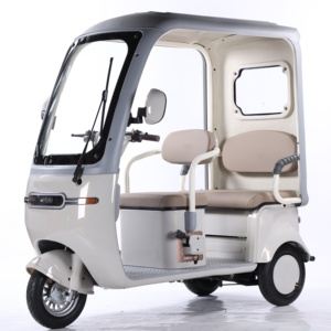 QSD Nouveau Design Écologique 1000W Véhicule Électrique Auto-Rickshaw Éco-Tricycle Passager E Tuk Tuk <span class=keywords><strong>Toto</strong></span> Scooter à 3 Roues - Product Image 2