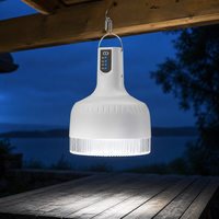 Lampe suspendue LED rechargeable portable 36 LED 2400mAh Type-C 1W compatible solaire pour la maison, le camping et les situations d'urgence