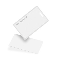 Matériel personnalisé en plastique/métal 13.56MHz 125KHz 860-960MHz RFID NFC IC Card Keychain Surface Modèles imprimables pour le contrôle d'accès