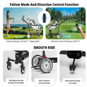 Hoogwaardige Woaher EST3 Elektrische Golfkar 500W Dubbele Motor Afstandsbediening Aluminium Bagagekar 30kg Draagvermogen 6km/u Snelheid - Product Image 5