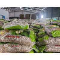 Exportkwaliteit IQF Diepvries Gehele Gember 100% Natuurlijk Gemengd Kasproduct Speciale Vorm 2 Jaar Houdbaarheid Bulk Vietnam 1kg Zak Eetbaar