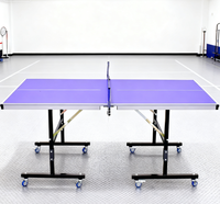 Tables de tennis de table de haute qualité pour enfants de vente directe d'usine dans divers types