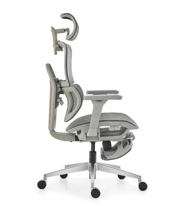 Chaise de bureau ergonomique avec hauteur réglable, design pivotant, soutien lombaire en maille moderne pour le bureau et l'école - Chaise de direction - Product Image 5