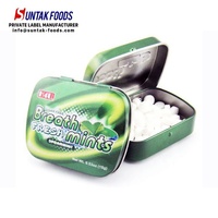 Customized Bulk Wholesale Comfectionery Tin Can Pack Fresh Breath Sugar-Free Hard Mints and Cinnamon Candy