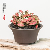 Mini pots de fleurs en résine pour succulentes, design minimaliste à base d'eau, pour usage au sol dans les centres commerciaux, jardinières durables pour cactus et bonsaïs
