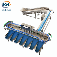 Fruit- en groentesorteermachine met PLC-besturing, hoge precisie, niet-schadelijke sorteerapparatuur voor fruitverwerkingsbedrijven