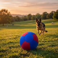 Funda de nailon 1680D duradera e impermeable para pelota de yoga interactiva para perros, ideal para entrenamiento en exteriores, patio y juegos junto al mar.
