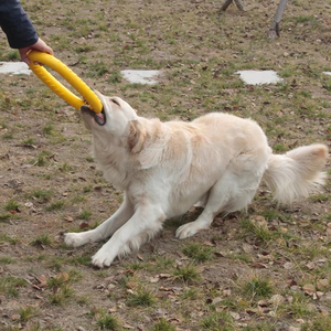 Jouet à mâcher pour chien écologique de 25 cm, anneau de traction pour mâcher agressivement, idéal pour l'entraînement des animaux de compagnie - Vente en gros - Product Image 5