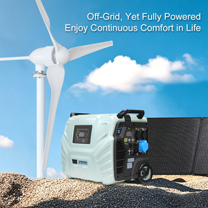 Generador Eólico de 12V 24V para Uso Doméstico y Comercial, Energía Renovable, Generador Eólico de 300W DLW1000, Generador Eólico de 24V DLW1000 - Product Image 2