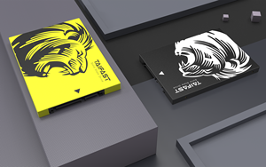 Grosir Taifast Desktop SSD TLC 2.5 inci, SATA 3.0 64GB 128GB 256GB, memori besar, cangkang plastik bersertifikat Ce Solid State disk - Product Image 4