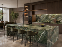 Dalles de quartzite vert botanique à veines fluides pour comptoirs de cuisine, façades de bar, tables à manger, murs décoratifs et revêtements de sol