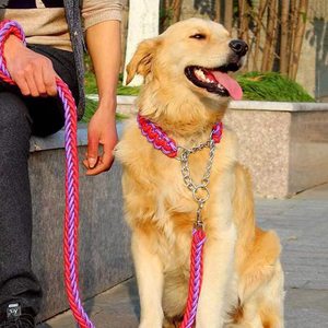 KingHon - Juego de Correa y Collar de Nailon Trenzado para Perro, Disponible en 26 Colores, Correa para Mascotas al por Mayor - Product Image 4