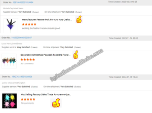 Artificial Decorative Flower <strong>Wire</strong> Peacock Stem Feather <strong>Floral</strong> Pick for <strong>Floral</strong> Arrangement Home Wedding Party Vase Holiday Decor - Product Image 5