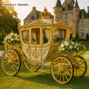 Remolque Eléctrico Royal en Venta con Capota Alta Personalizada, Aire Acondicionado y Luces LED, Estilo Carruaje - Product Image 1