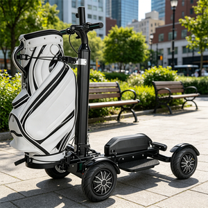 Voiturette de golf compacte, facile à conduire, respectueuse du gazon, pratique pour les clubs et les terrains non publics - Product Image 1