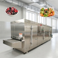 Máquina de Congelación Rápida IQF de Alta Eficiencia para Frutas, Verduras y Mariscos |   Congelador de Lecho Fluidizado