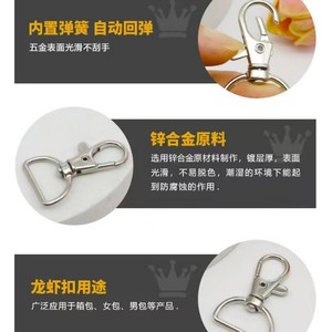 Porte-clés mousqueton en alliage de zinc, 1 pouce, forme irrégulière, résistant à l'usure, pour sacs, accessoire de sac pour hommes et femmes - Product Image 5