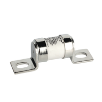 Composant de fusible automatique rapide de fusible de voiture d'AC/DC 750V 20-1200A pour des véhicules électriques fusible d'Ev pour l'usage de véhicule