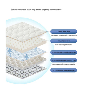 <span class=keywords><strong>Matelas</strong></span> <span class=keywords><strong>en</strong></span> Latex Coussin Maison Épaissie Dortoir Étudiant Simple Tatami Tapis Éponge Tapis Couette <span class=keywords><strong>Location</strong></span> <span class=keywords><strong>Matelas</strong></span> Spécial - Product Image 2