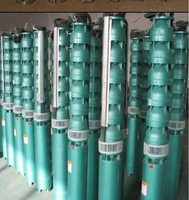 Pompe submersible électrique multi-étages à haut rendement pour l'irrigation agricole et l'alimentation en eau des puits profonds
