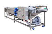 Automatische Ozon Chili Paddestoel Dragon Fruit Papaya Wasmachine